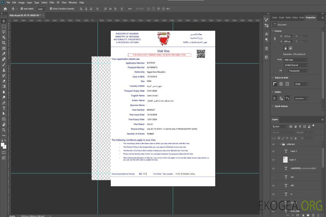 Modèle de visa électronique pour Bahreïn aux formats Word et PDF, version 2 template